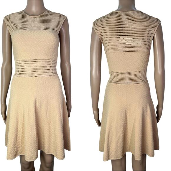 New Jay Godfrey Manley Fit & Flare Sheer Open Knit Mini Dress - Picture 1 of 13
